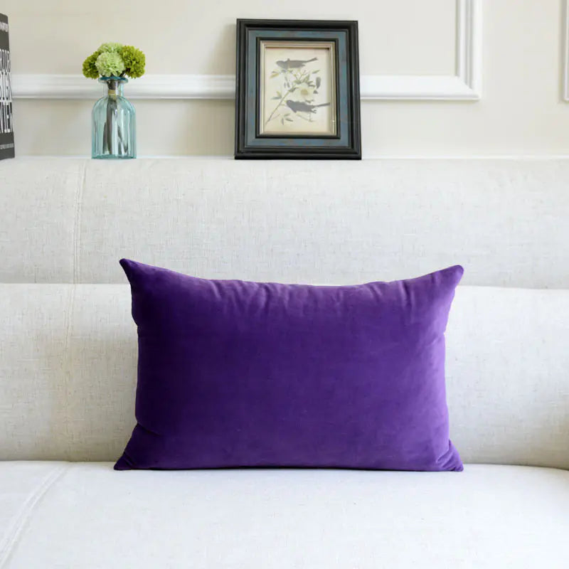 Velvet Throw Pillow