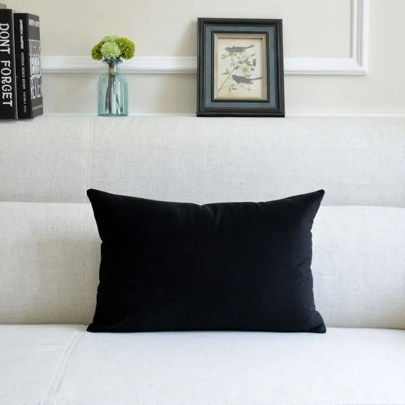 Velvet Throw Pillow