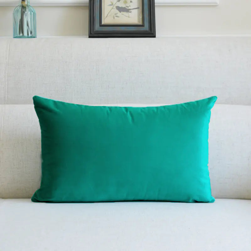 Velvet Throw Pillow