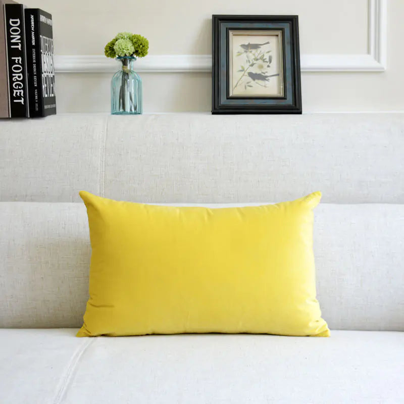 Velvet Throw Pillow