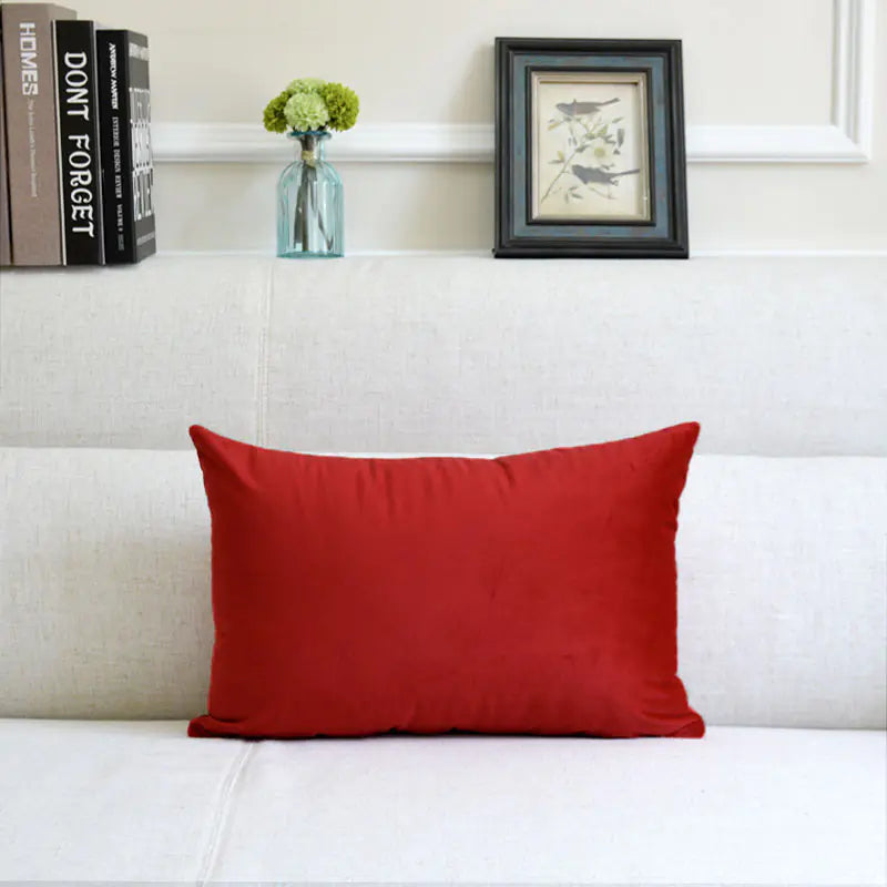 Velvet Throw Pillow