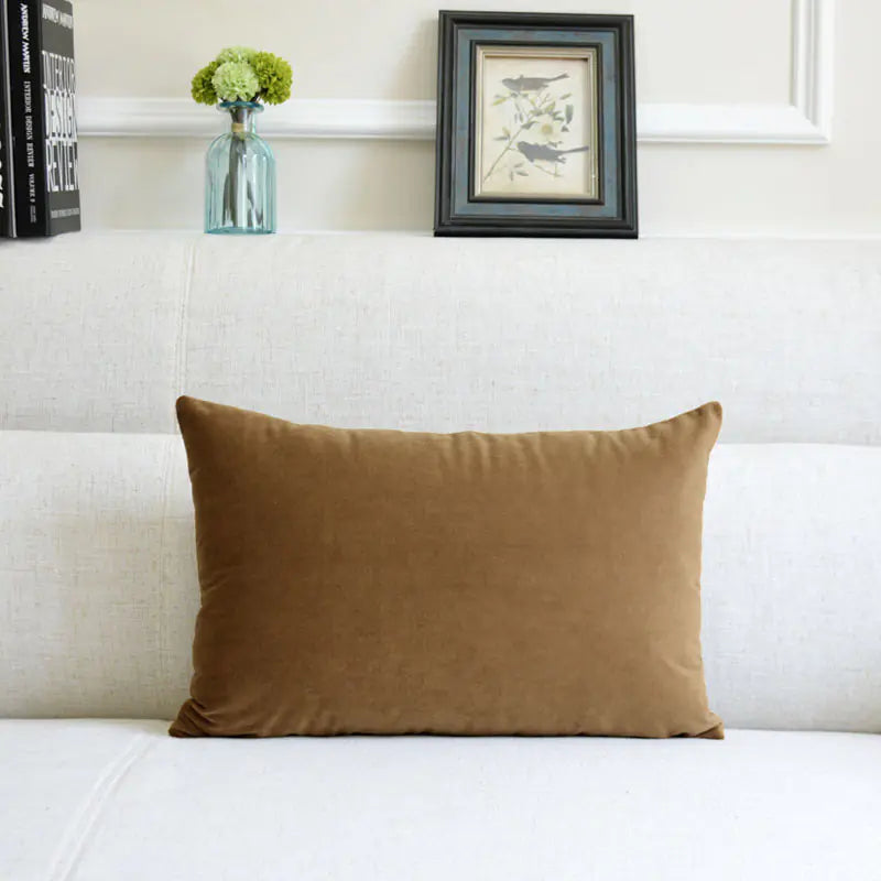 Velvet Throw Pillow
