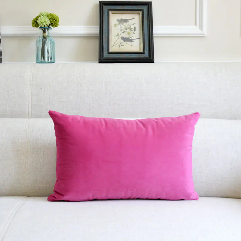 Velvet Throw Pillow