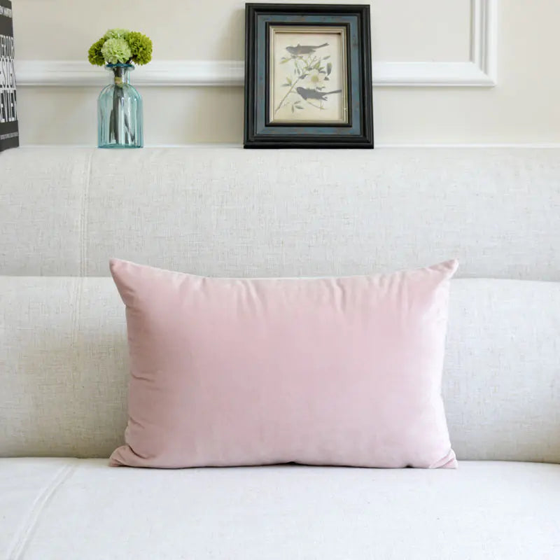Velvet Throw Pillow